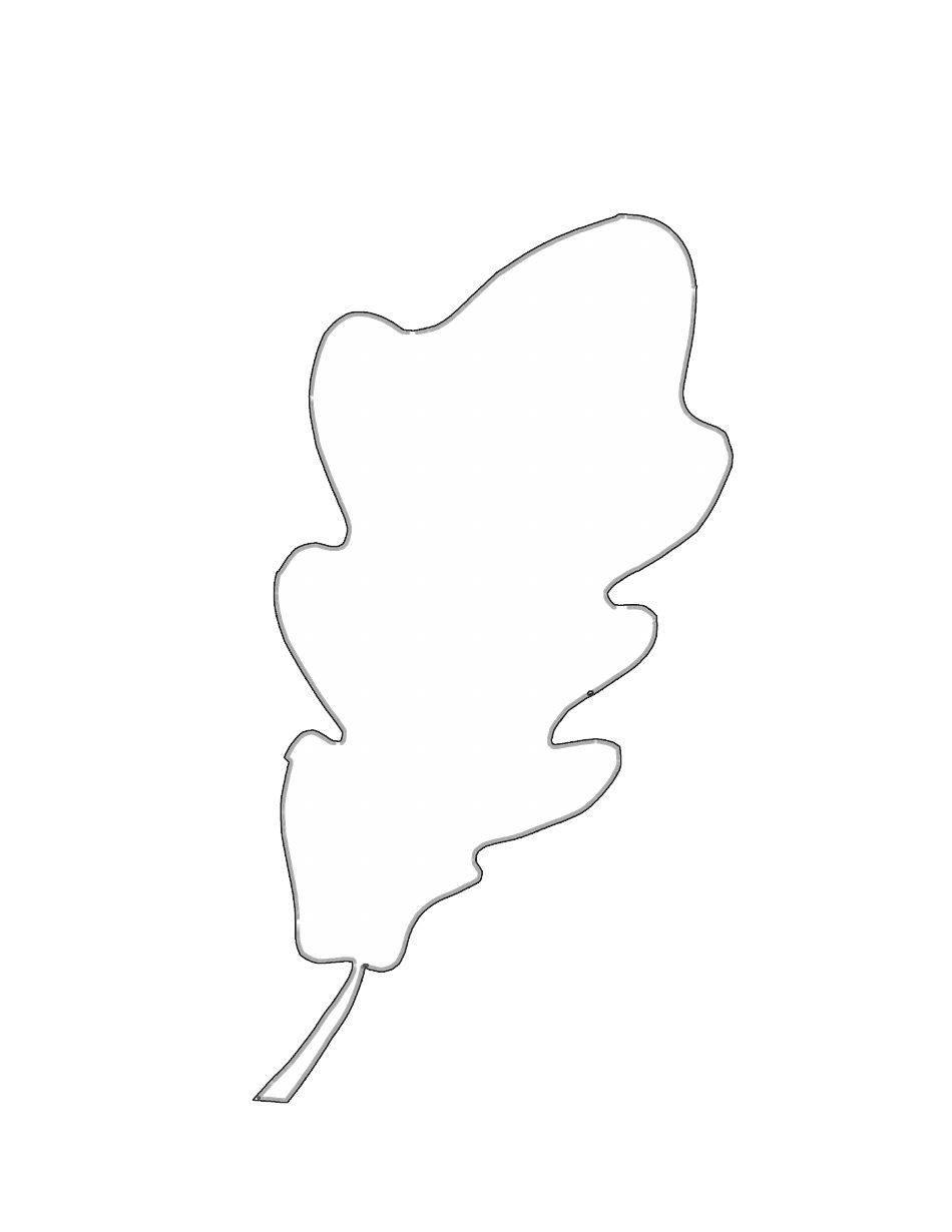 Fall Pastel Leaf Stencil Templates, Page 8