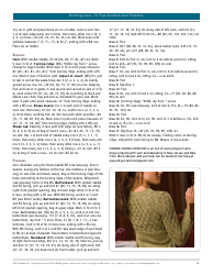 Knitted Lace Patterns, Page 11
