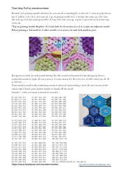 Hexy Puff Crochet Pattern, Page 3
