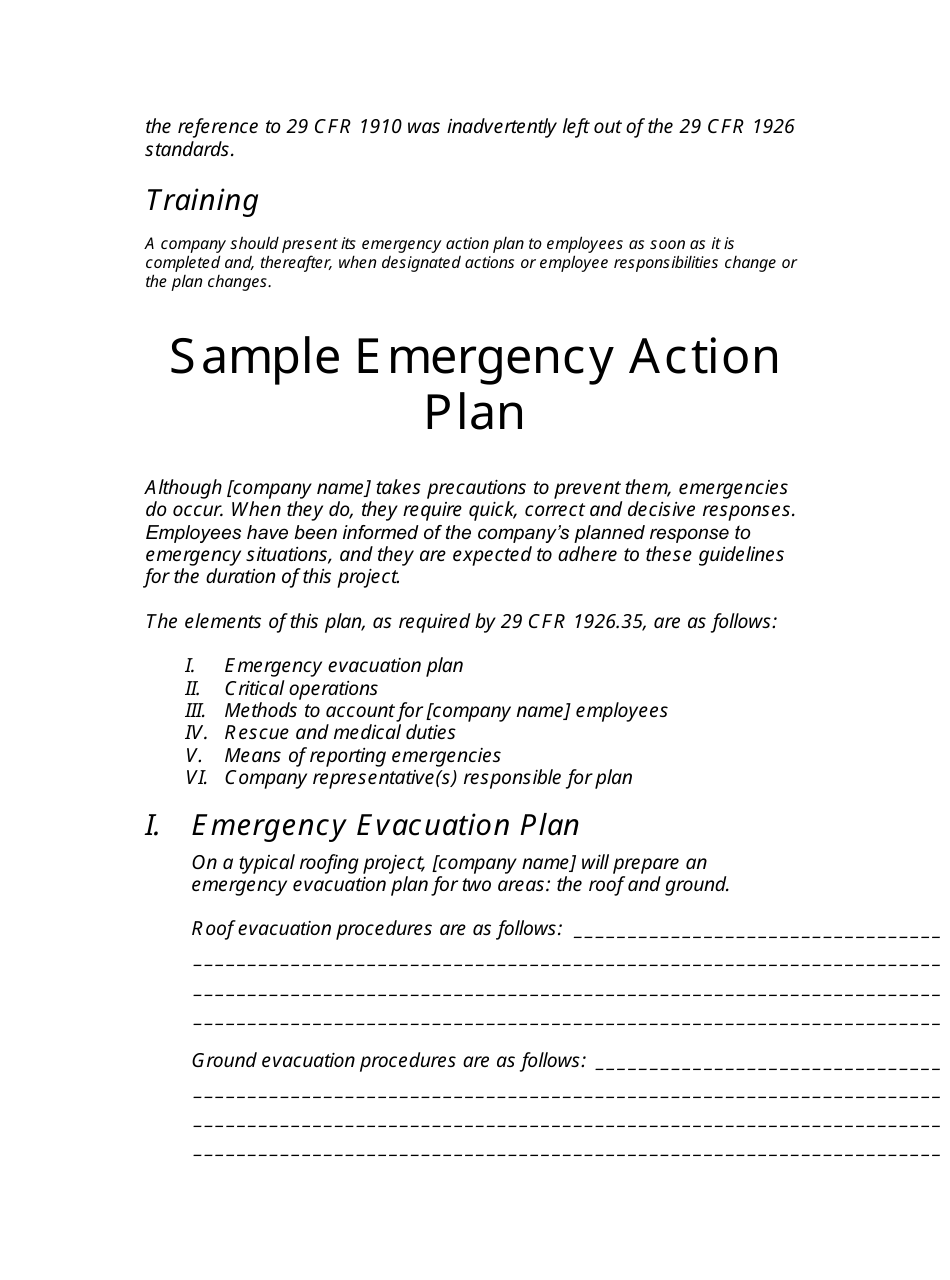 Emergency Action Plan Template, Page 3