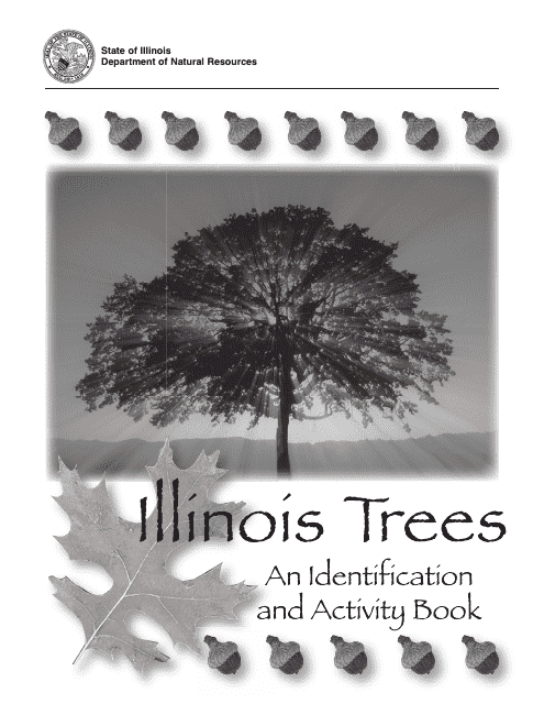 Illinois Trees Activity Book - Illinois Download Pdf