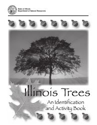 Illinois Trees Activity Book - Illinois
