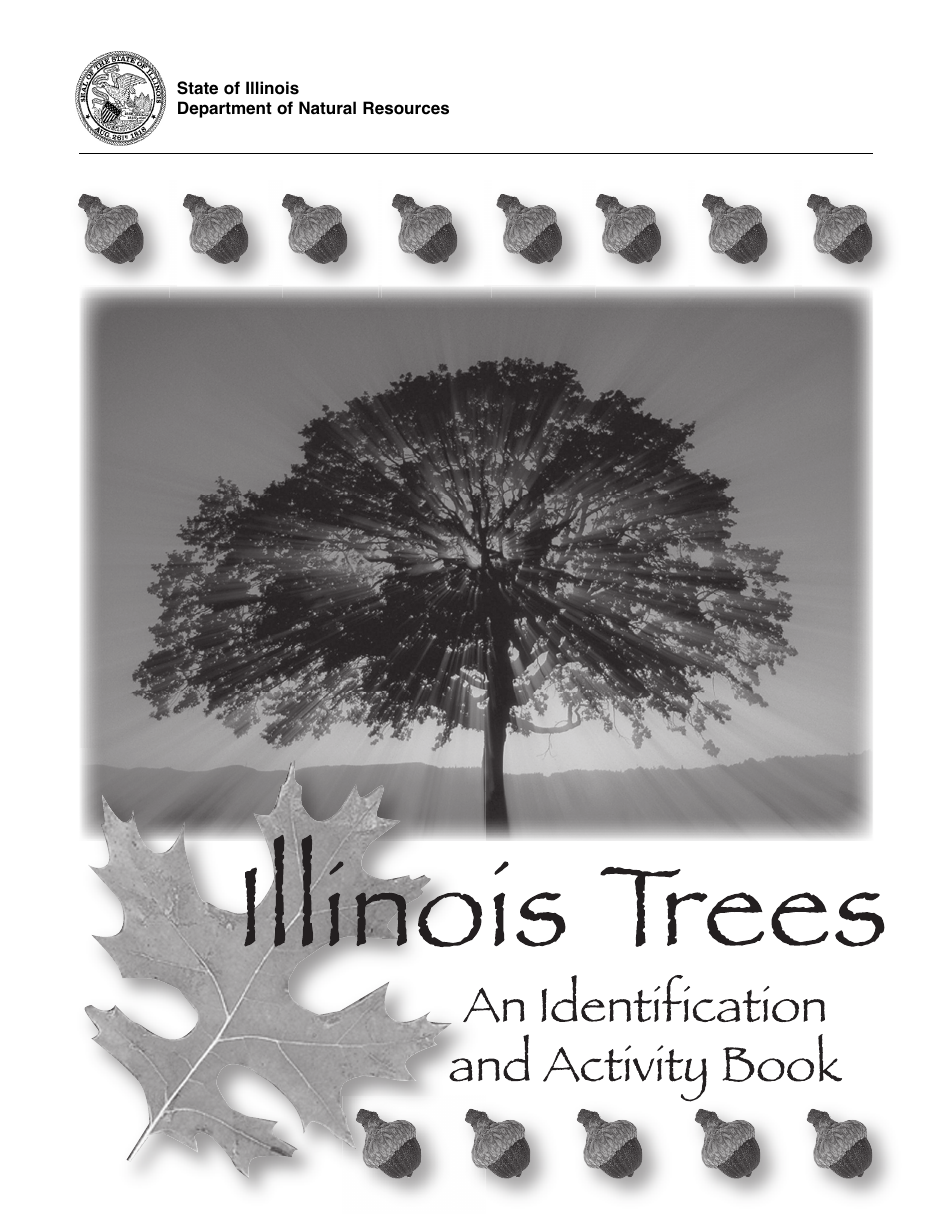 Illinois Trees Activity Book - Illinois, Page 1