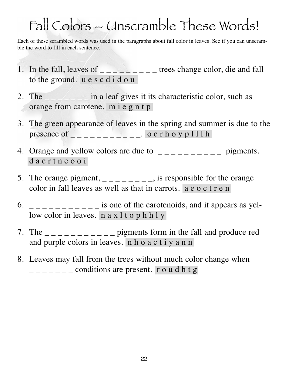 Illinois Trees Activity Book - Illinois, Page 22