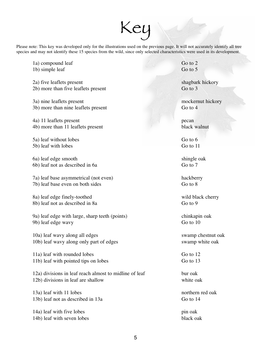 Illinois Trees Activity Book - Illinois, Page 5