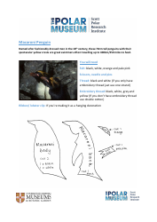 Document preview: Macaroni Penguin Sewing Pattern Templates