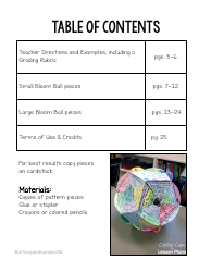 Bloom Ball Novel Book Report Template, Page 2