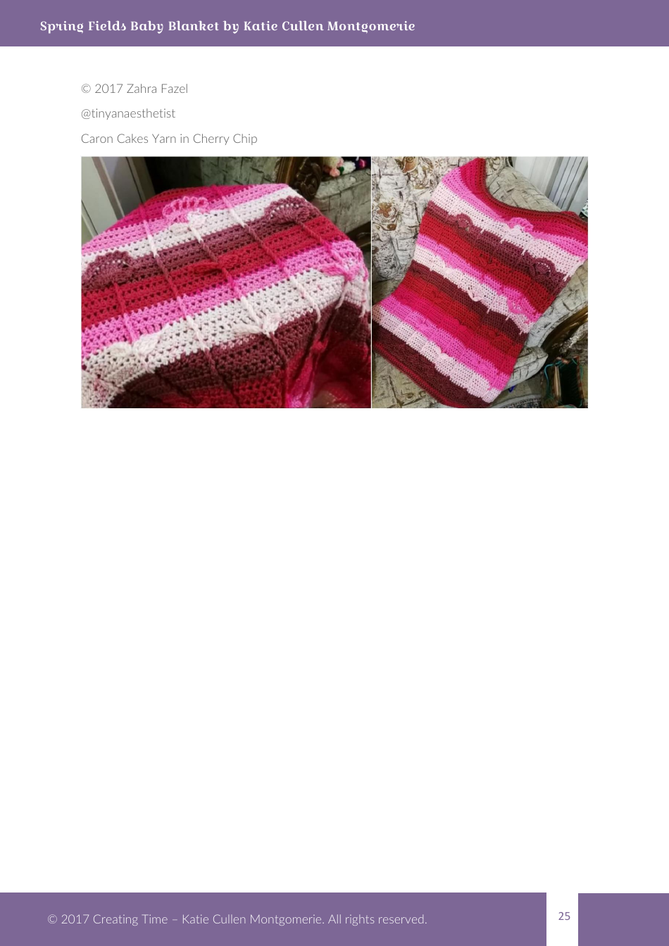 Spring Fields Baby Blanket Crochet Pattern, Page 25
