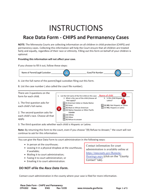 Form OTH202 Race Data Form - Chips and Permanency Cases - Minnesota