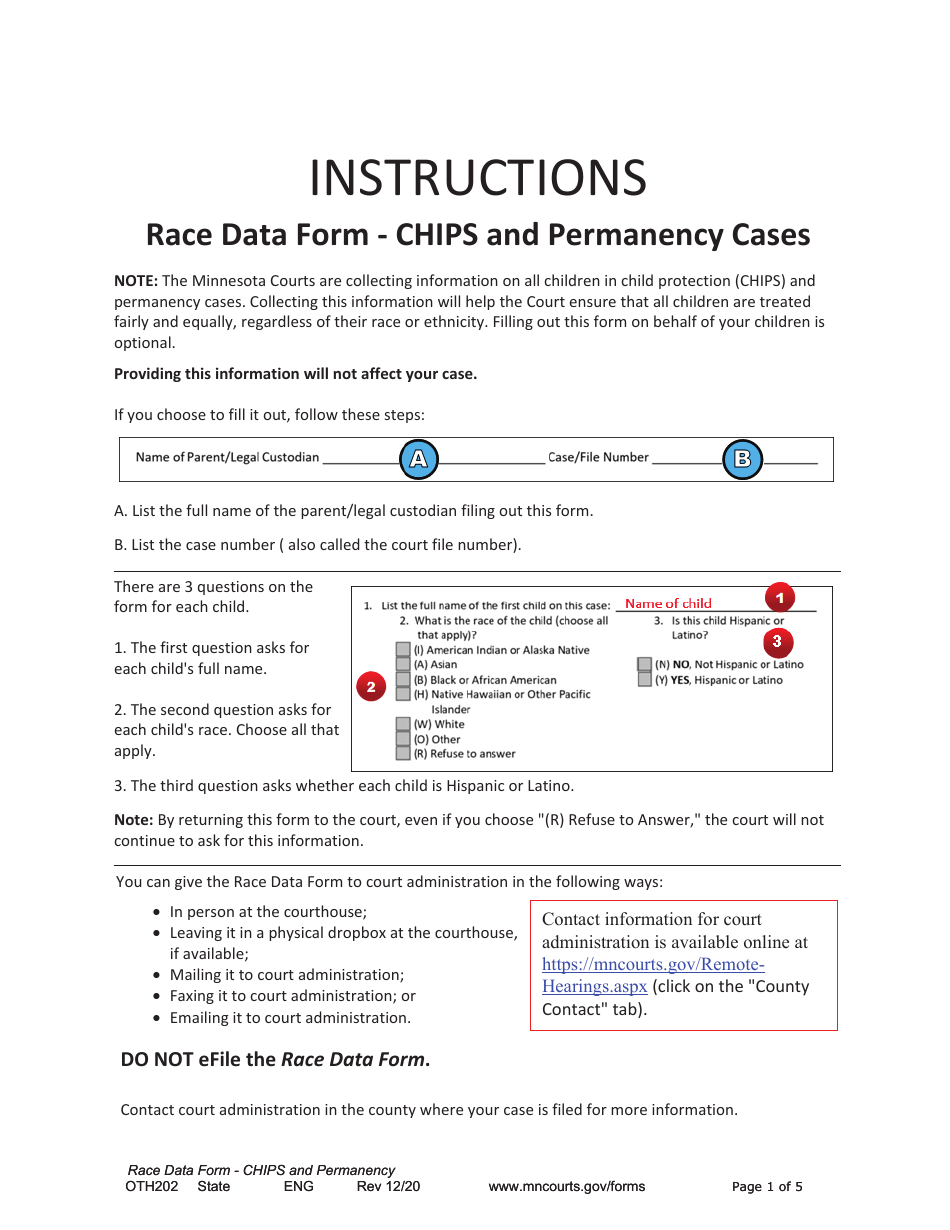 Form OTH202 Race Data Form - Chips and Permanency Cases - Minnesota, Page 1