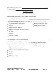 Form OTH202 Race Data Form - Chips and Permanency Cases - Minnesota, Page 2