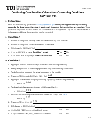 Document preview: Form FIN397 (CCP Form 14) Continuing Care Provider Calculations Concerning Conditions - Texas