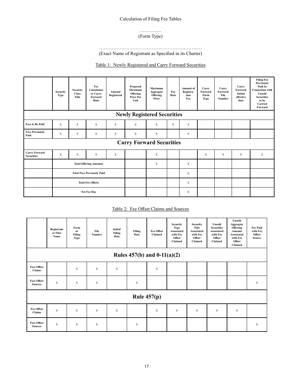 Form S-4 (SEC Form 2077) Registration Statement Under the Securities Act of 1933, Page 17