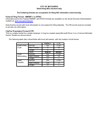 Form BRW-3 Employer&#039;s Annual Reconciliation of Income Tax Withheld - City of Big Rapids, Michigan, Page 3