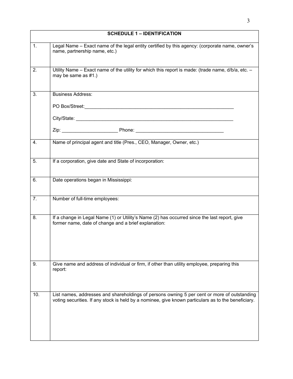 Wireless Eligible Telecommunications Carrier (Etc) Annual Report - Mississippi, Page 4