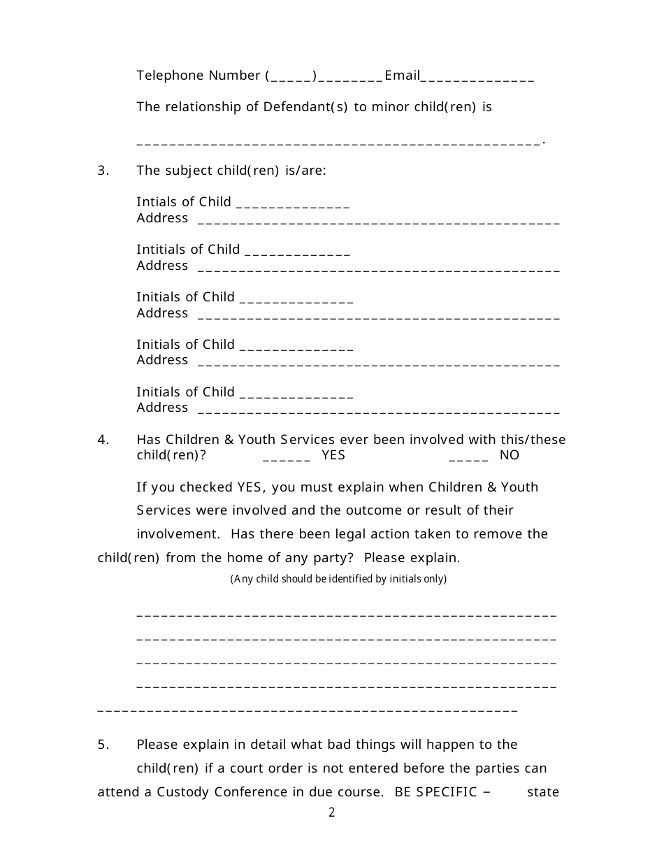 Petition for Special Relief in Custody - Luzerne County, Pennsylvania, Page 2