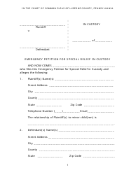 Document preview: Emergency Petition for Special Relief in Custody - Lizerne County, Pennsylvania