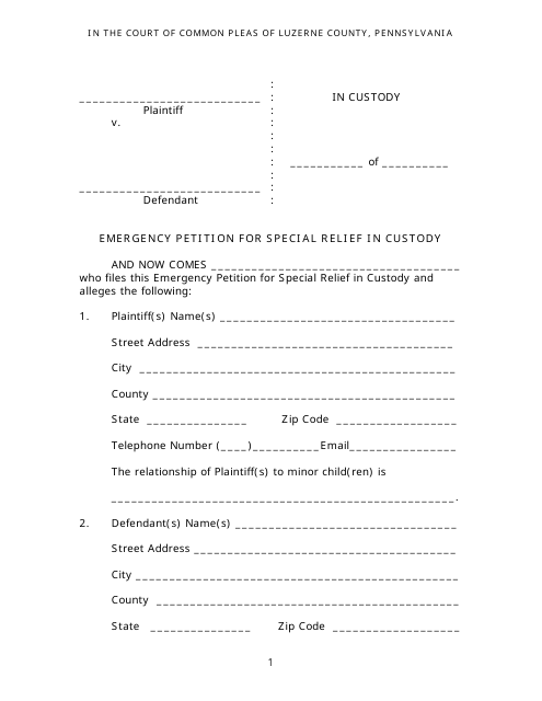 Emergency Petition for Special Relief in Custody - Lizerne County, Pennsylvania Download Pdf