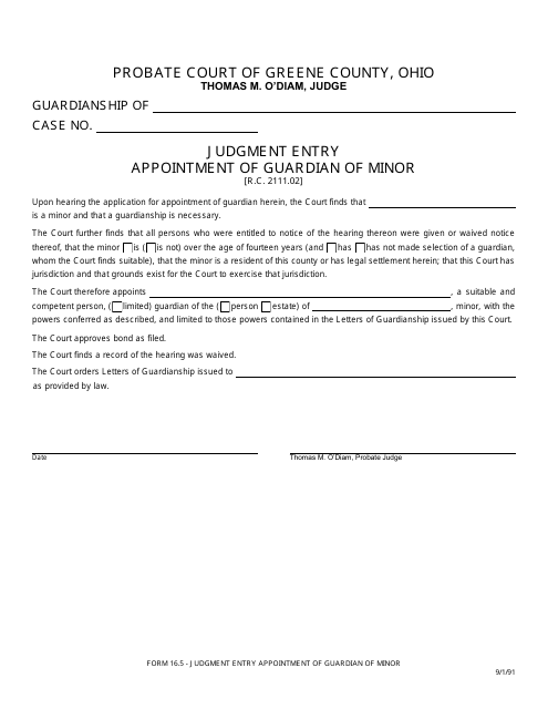 Form 16.5 Judgment Entry Appointment of Guardian of Minor - Greene County, Ohio