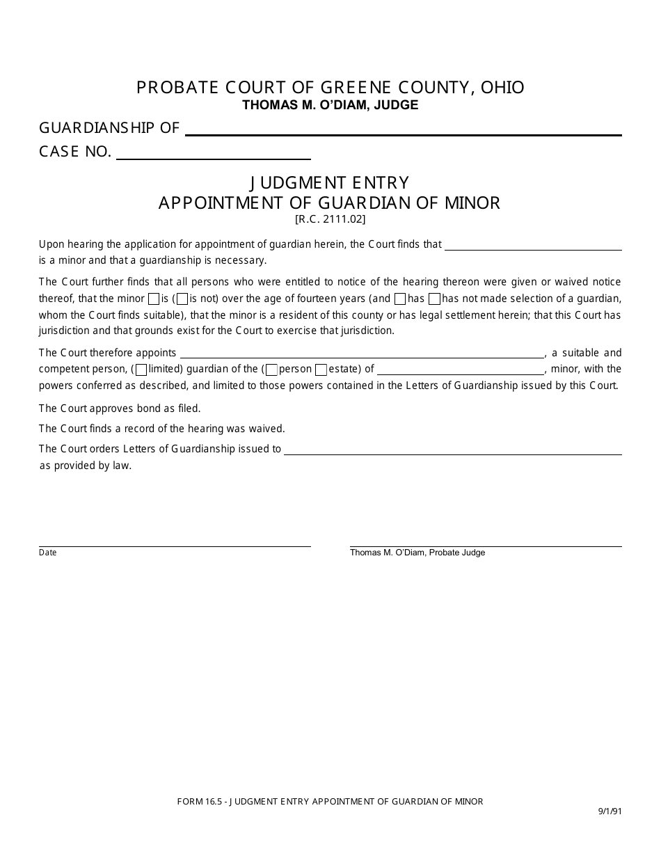Form 16.5 Judgment Entry Appointment of Guardian of Minor - Greene County, Ohio, Page 1