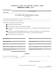 Document preview: Form 19.0 Petition for Adoption of Adult - Greene County, Ohio