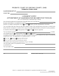 Document preview: Form 17.5 Judgment Entry Appointment of Guardian for Incompetent Person - Greene County, Ohio
