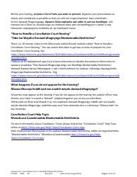 Form CCT100 Instructions - Plaintiff&#039;s Statement of Claim - Minnesota (English/Somali), Page 15