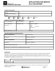 Form CS-0319 Application for Service as a Volunteer - Tennessee, Page 2
