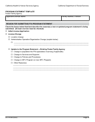 Form LIC9128 Foster Family Agency Program Statement - California, Page 5