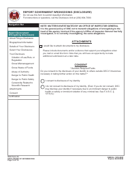 OSC Form 14 Report Government Wrongdoing (Disclosure), Page 13