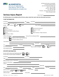 Document preview: Serious Injury Report - Minnesota