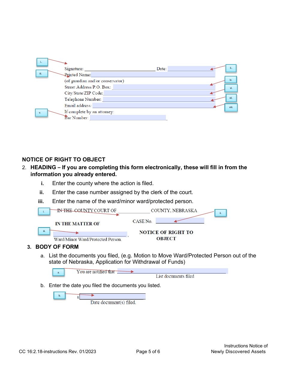 Instructions for Form CC16:2.18 Notice of Newly Discovered Assets - Nebraska, Page 5