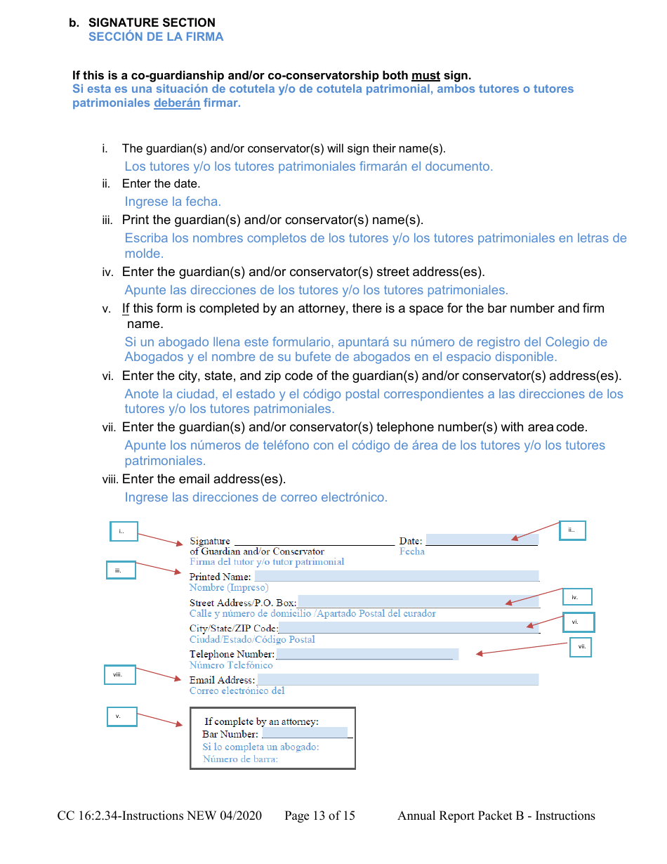 Download Instructions For Form CC16:2.34 Packet B - Guardianship With ...