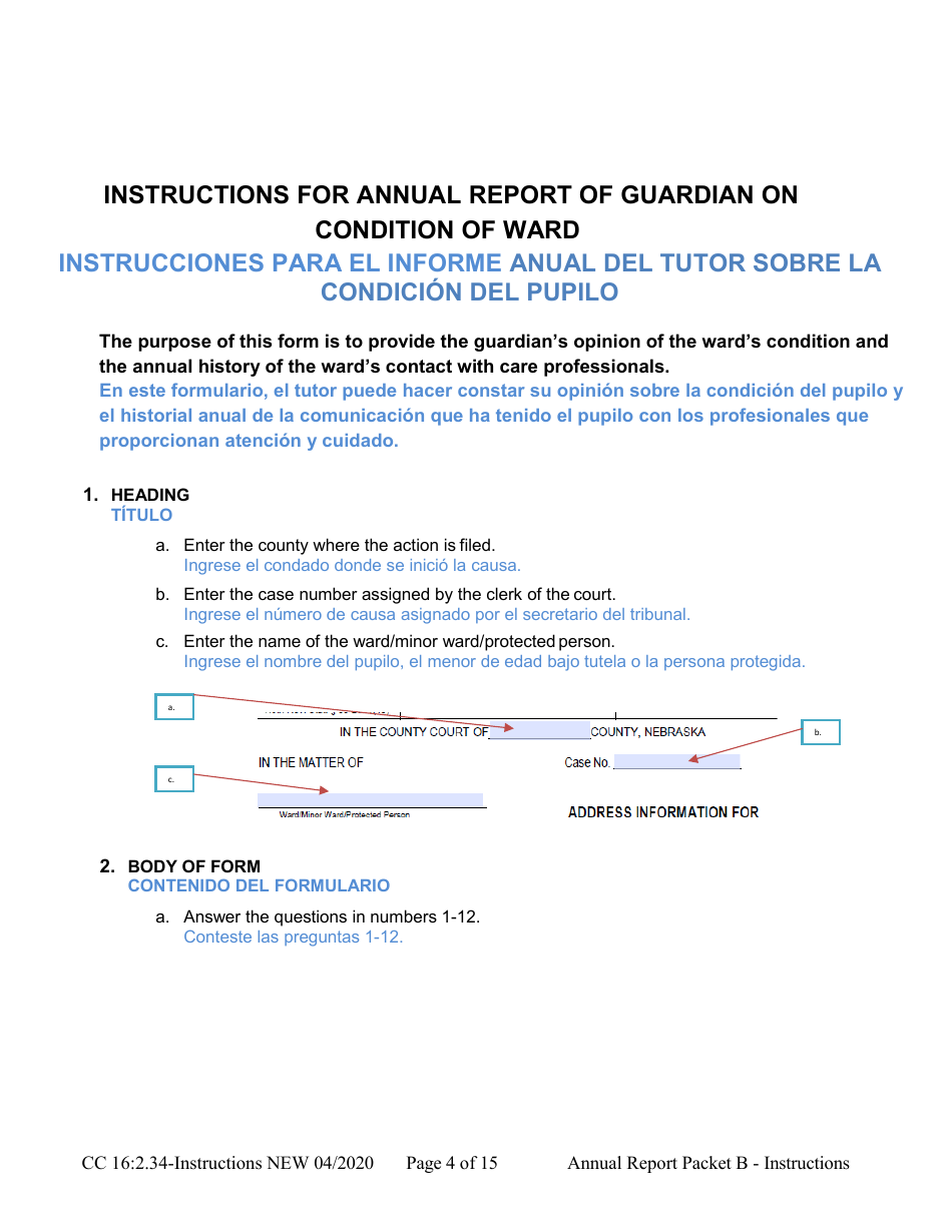 Instructions for Form CC16:2.34 Packet B - Guardianship With Budget Annual Reporting Forms - Nebraska (English / Spanish), Page 4