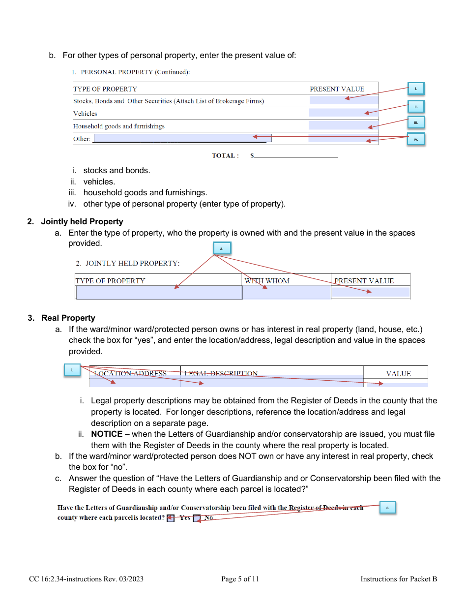 Download Instructions For Form CC16:2.34 Packet B - Guardianship With ...