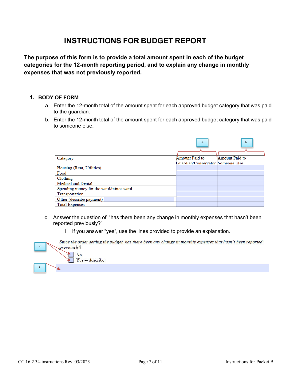 Download Instructions For Form CC16:2.34 Packet B - Guardianship With ...