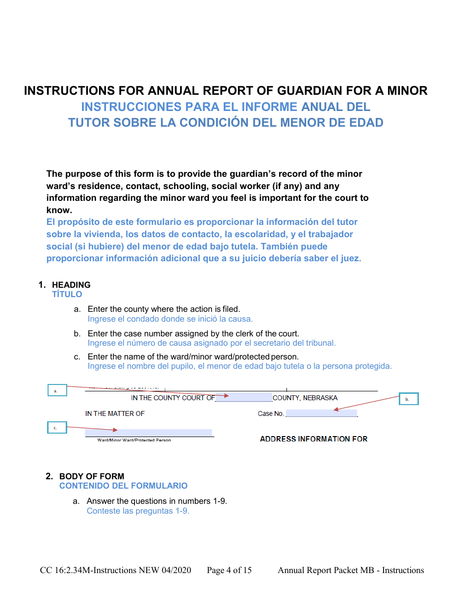 Instructions for Form CC16:2.34M Packet Mb - Guardianship for a Minor With a Budget Annual Reporting Forms - Nebraska (English / Spanish), Page 4