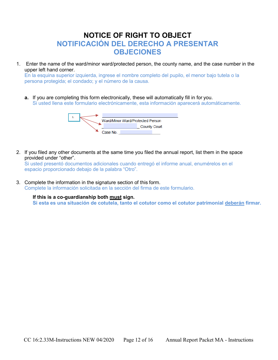 Instructions for Form CC16:2.33M Packet Ma - Guardianship for a Minor Annual Reporting Forms - Nebraska (English / Spanish), Page 12