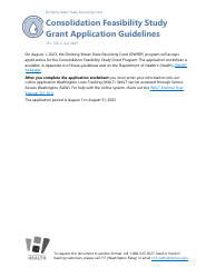 Consolidation Feasibility Study Grant Application - Washington
