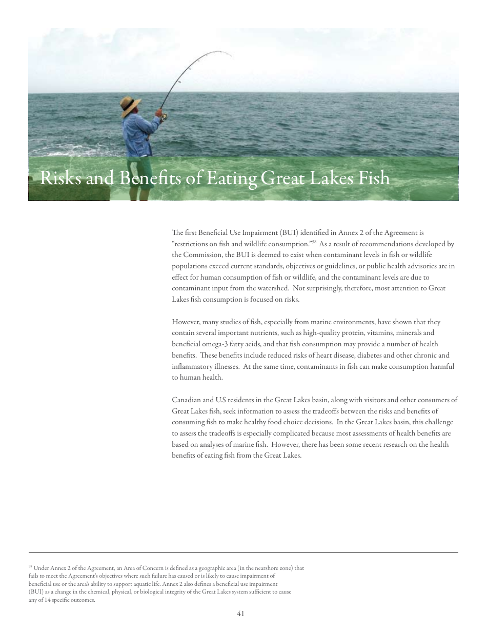 15th Biennial Report on Great Lakes Water Quality - International Joint Commission United States and Canada, Page 45