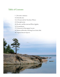 15th Biennial Report on Great Lakes Water Quality - International Joint Commission United States and Canada, Page 5