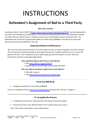 Form CRM601 Instructions - Defendant&#039;s Assignment of Bail to a Third Party - Minnesota