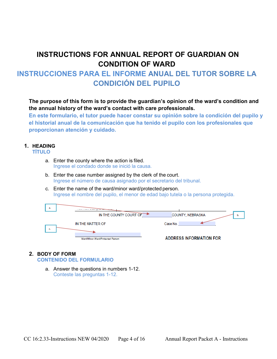Instructions for Form CC16:2.33 Packet a - Guardianship Annual Reporting Forms - Nebraska (English / Spanish), Page 4