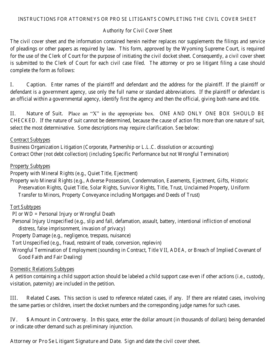 Civil Cover Sheet - Establishment of Custody, Visitation and Child Support - Petitioner - Wyoming, Page 2
