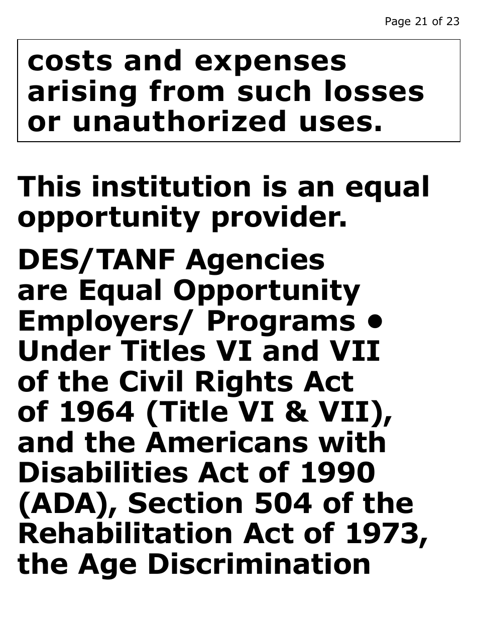 Form FAA-1513A-XLP Time Saving Tips (Extra Large Print) - Arizona, Page 21