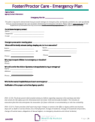 Foster/Proctor Care - Initial Family Application - Utah, Page 3