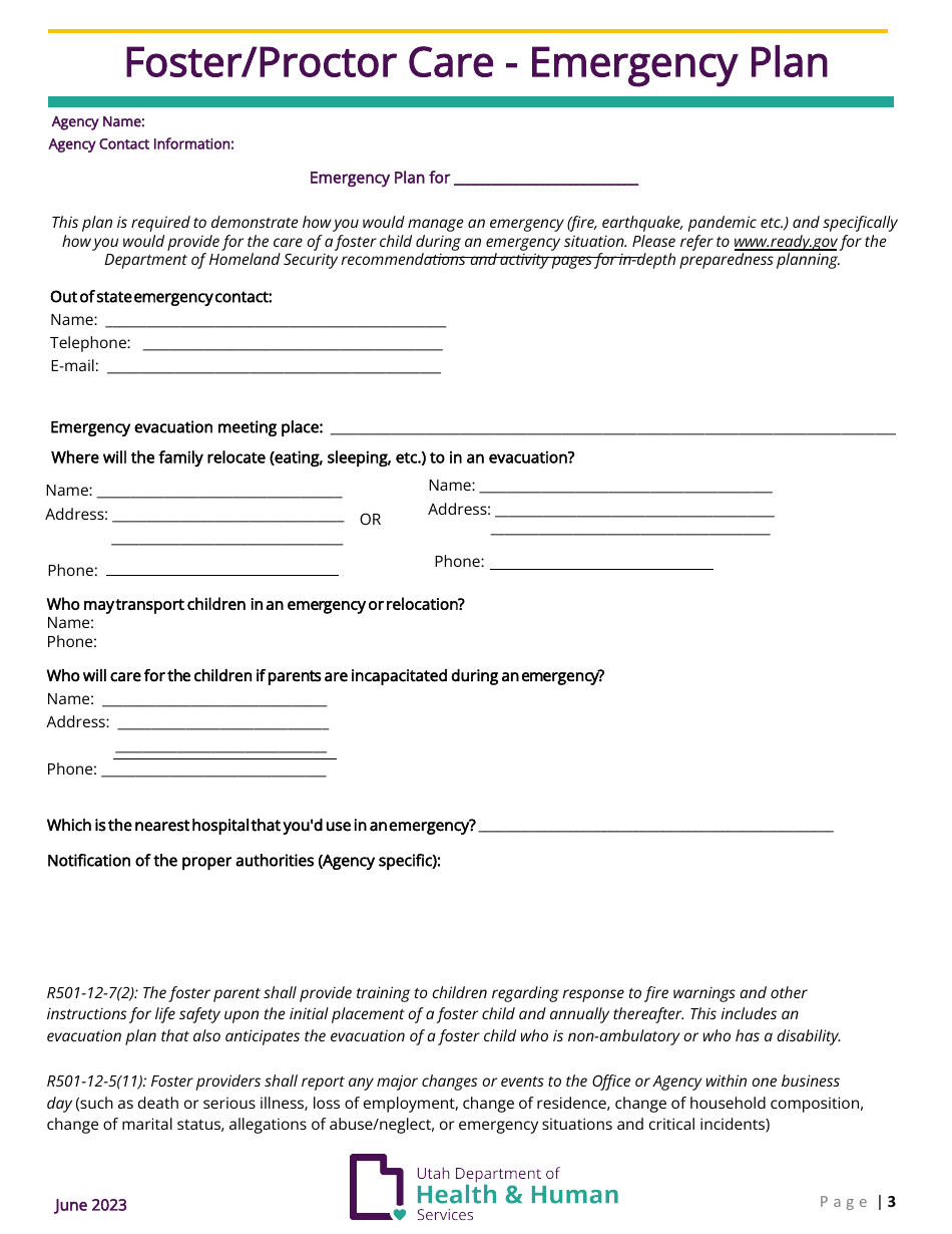 Foster / Proctor Care - Initial Family Application - Utah, Page 3