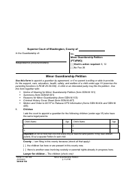 Form GDN M102 Minor Guardianship Petition - Washington