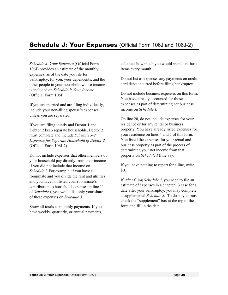 Instructions for Bankruptcy Forms for Individuals, Page 32