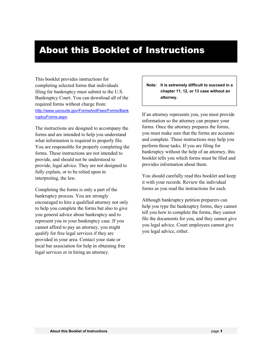 Instructions for Bankruptcy Forms for Individuals, Page 3